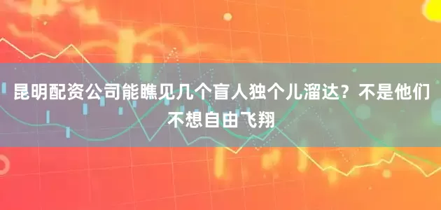 昆明配资公司能瞧见几个盲人独个儿溜达？不是他们不想自由飞翔