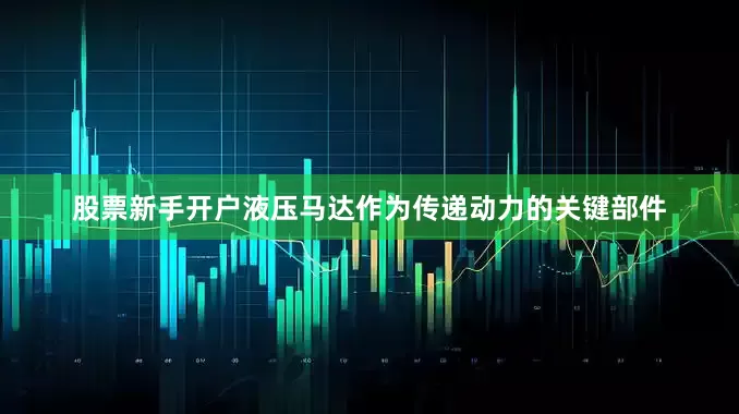 股票新手开户液压马达作为传递动力的关键部件
